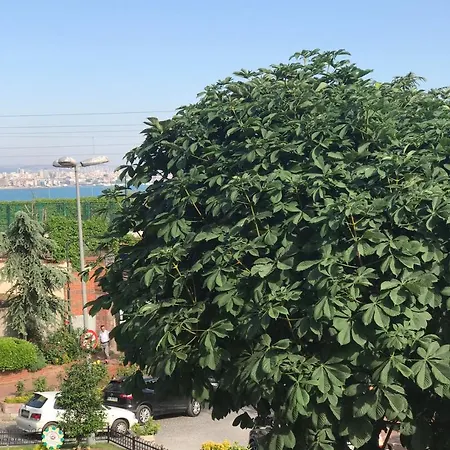 فندق Qonaq